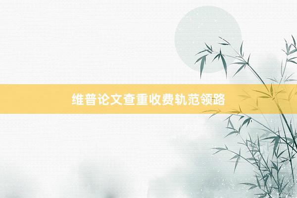 维普论文查重收费轨范领路